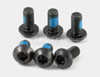 Torx Rotor Bolts (Set of 6)